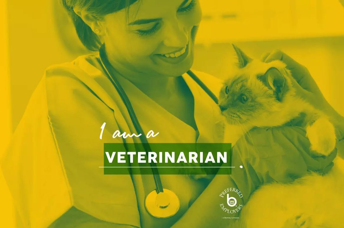 A veterinarian holds a cat in her arms. In front of the image is a caption that states "I am a veterinarian"