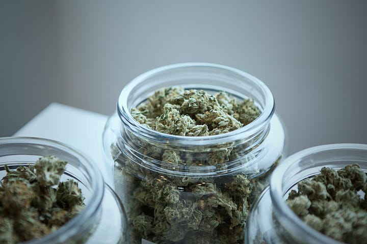 Three large jars of cannabis are shown. Photo by Add Weed on Unsplash. 
