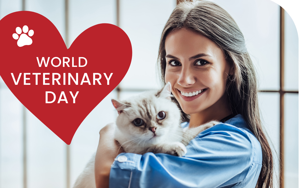 a female veterinarian holding a cat in their arms